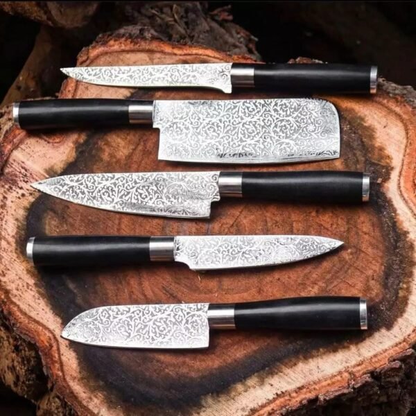 PREMIUM KITCHEN KNIFE SET ( 5 Piece )